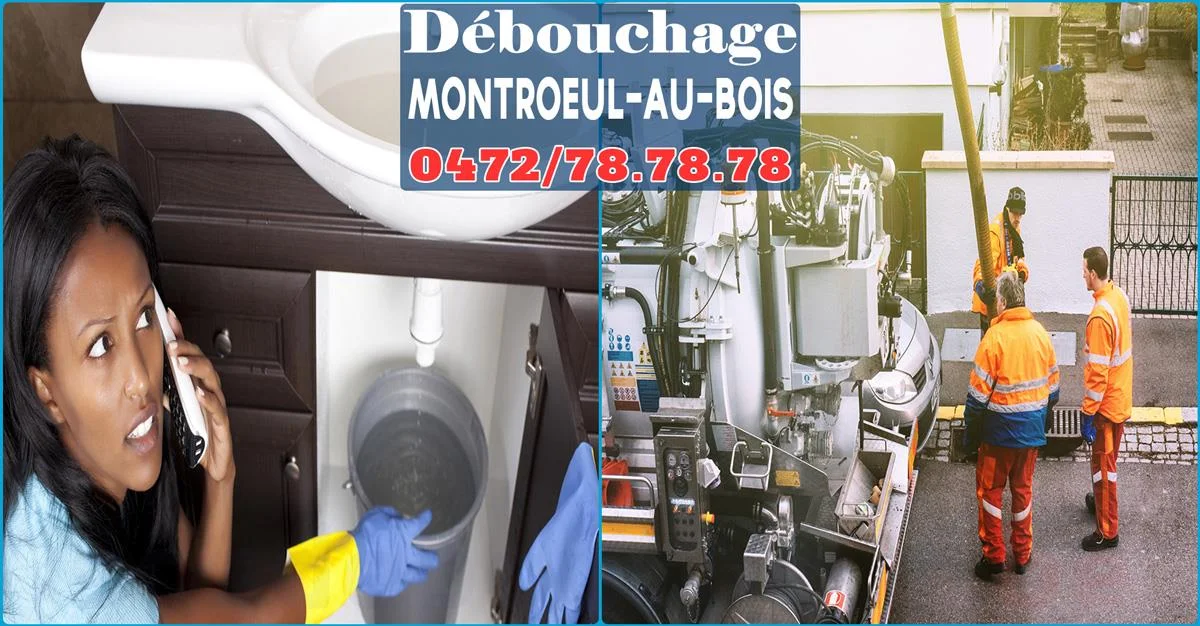 Débouchage de canalisations à Montroeul-au-Bois 7911