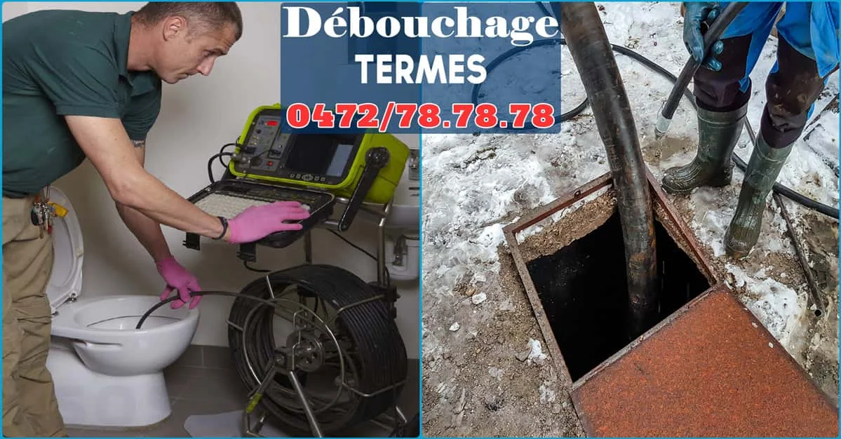 Débouchage de canalisations à Termes 6813